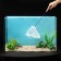 Aquarium net 15 cm, blue