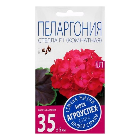 Flower seeds Pelargonium "Stella", pink with a brown sheet, F1, 4 pcs-2