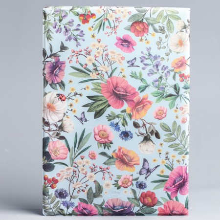 Folder for documents, Disney, 8 files, a4-4