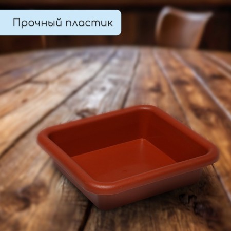 Box for seedlings, 23.5 × 23.5 × 7 cm, 3 l, color mix-2