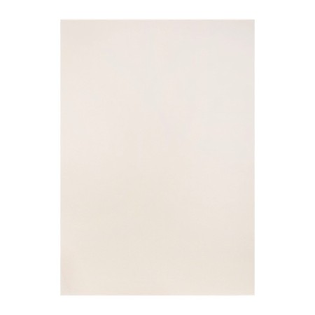 A3, 10 sheets pastel paper, “landscape”, ivory paper, Goznak, embossing “Shell”, block 200 g/m2, in the folder in the folder-2