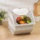 Container for vegetables of the share, 11.2 l, 32.3 × 22 × 21.7 cm, beige color