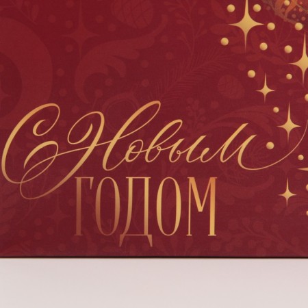 Gold Package Corps, 23 x 18 x 11 cm, New Year-4