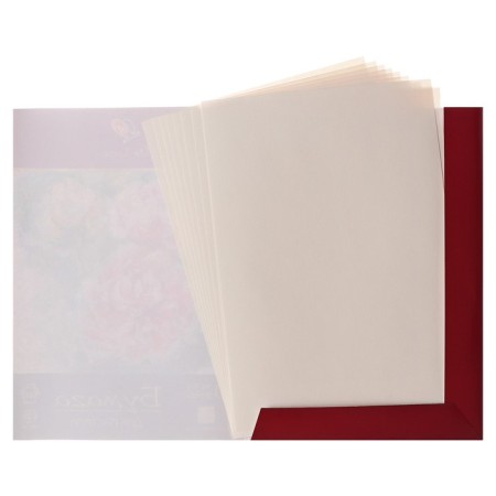 A3 pastel paper, 10 sheets De Luxe, 160 g/m2, ivory, in the folder-4
