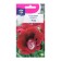 Gloxinia flowers "Impress Red", 3 pcs. in amp.