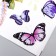 Sticking plastic interior color "Lilac anemones and butterflies" 30x90 cm