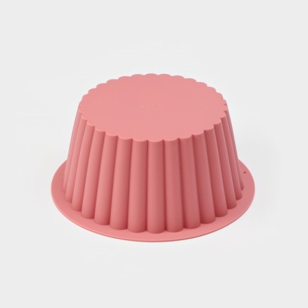 Baking uniform “Circle Circle”, silicone, D = 18.5 cm, Mix color-5