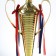 Cup 154a, award figure, gold, plastic stand, Tricolor, 59 x 23 x 12 cm
