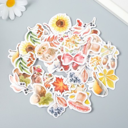 Stickers for creativity "Autumn Forest" set of 46 pcs 4.4x4.4x1.1 cm