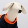 Sweep for animals "Pumpkin", size XS, blue (DS 20, Osh 18, OG 30 cm)