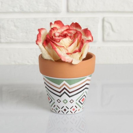 Pot "Trapezius" Terracott with a pattern, 9x9cm, mix-6