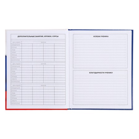 Diary for grades 5-11, 48 sheets of "Russian schoolchild No. 4", hard cover, glossy lamination, block 60 g/m2-7