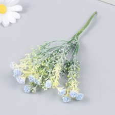 Flowers for decorating 
