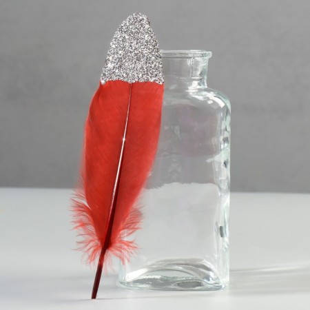 A set of goose feathers 15-20 cm, 10 pcs, red wine with silver crumb