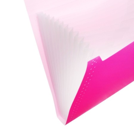 Folder Carder Calligrata Neon 6 department. A4 plastic 0.7mm fuchsia. Cut in color-2