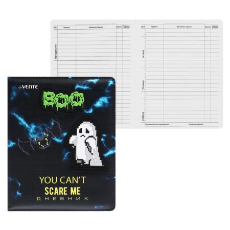Universal diary for grade 1-11, solid cover, artificial leather, foam rubber, liesse, 80 g/m2