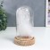 Souvenir Polystone "White Swan" Lumining flask 15.5x9.5x9.5 cm