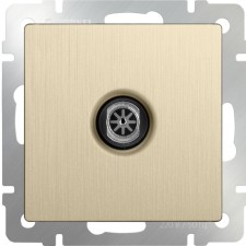 Tw-tv-terminal WL10-TV, SHAMPAN color