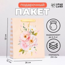 Laminated Packet 