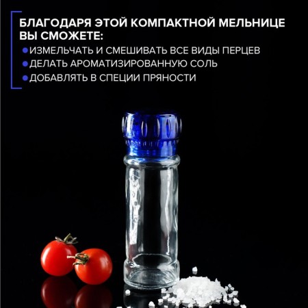 Mill for spices, plastic mechanism, 115 ml (45-80 gr), blue color-2