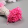 Stamens for artificial flowers gloss "risinki" bright pink set 360 pcs length 6 cm
