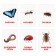 Educational cards according to the method of Glena Doman "insects", 12 cards, A6, 2+