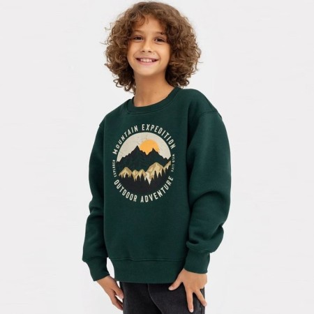 Sweatshirt for a boy, color fir, height 116-122 cm