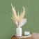 Feather for decor, size: 20-24 cm, white color