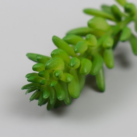 Artificial succulent for creating Florarium "Cleaning Morgan" set 4 pcs 6x11 cm-3