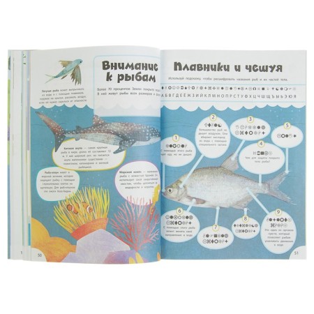 Entertaining book "Wild Animals"-5