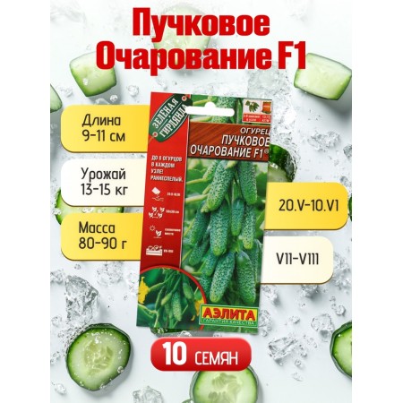 Set of seeds Early Self -Self -pollinated cucumbers-3