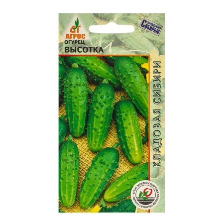 Seeds Cucumber "High School" 10pcs* CS