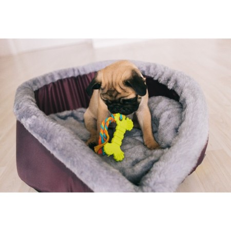 Chewing toy with a rope "bone with a tail", blue-4