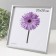 Photo frame plastic LIDA 20x20 cm silver