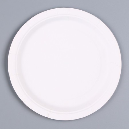 Paper plate "Rainbow Unicorn", in a set of 6 pcs.-2