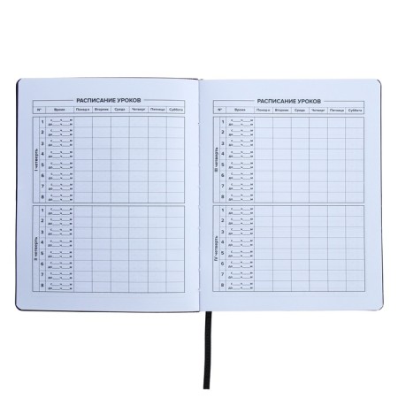 Universal Diary Grade 1-11, 48 sheets "graffitist", covering of artificial leather, liesa, offset block-5