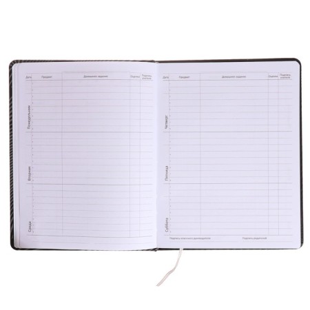 Universal diary for grade 1-11 Strike, hard cover, artificial leather, silkography, lies, 80 g/m2-6