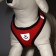 A set of ammunition with a soft harness and reflective patch, XL, Osh 40 cm, OG 46-60 cm, red 76