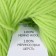Yarn "Magic Childhood" Import Wool 100% 220m/50g (193-SALT)