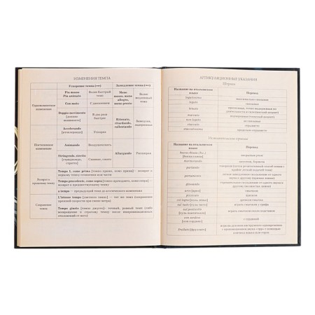 Diary for a music school, 48 sheets, hard cover, matte lamination, foil embossing, reference information, block 60g/m2-14