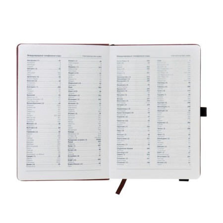 Diary of a low -up a5, 140 sheets in a cage, elastic band, leatherette cover, mix-2