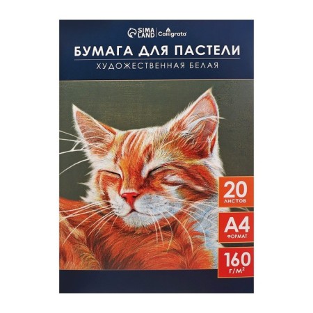 A4 pastel paper, 20 sheets "cat", block 160 g/m2, in folder-1