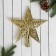 Tip "star" relief pattern, 19x22 cm, gold