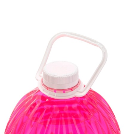Liquid hand soap Russian benefit, 5 l, aroma of wild berries-1