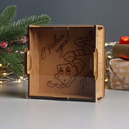 New Year's piggy bank with acrylic "Snake. New Year" 12x12x4 cm-2
