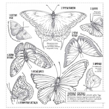 The creatures are large and small. 35 posters for coloring-2