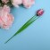 Confectionery "Tulip" in an envelope, 20 g