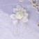 Butonier "for the groom or witness", ivory, mix