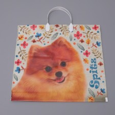 SPITS package, plastic with a plastic pen, 37 x 34 cm, 80 μm