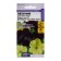 Flower seeds Petunia Sophistry "Blackberry & Laim Green", this. ALT, c/n, 6 pcs
